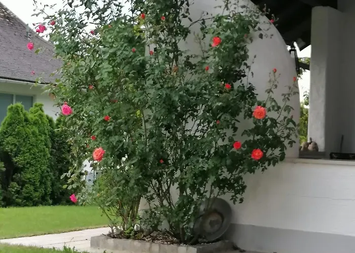 Nocksteinblick * Guggenthal